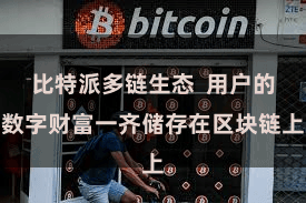 比特派多链生态 用户的数字财富一齐储存在区块链上