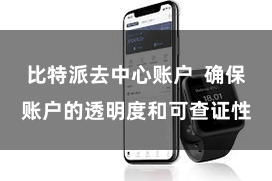 比特派去中心账户  确保账户的透明度和可查证性