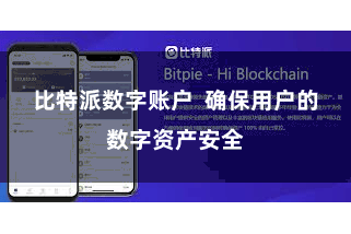 比特派数字账户  确保用户的数字资产安全