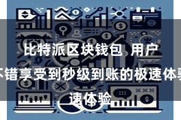 比特派区块钱包  用户不错享受到秒级到账的极速体验